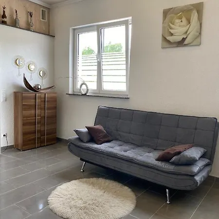 1 Schweizer * غايزينغن